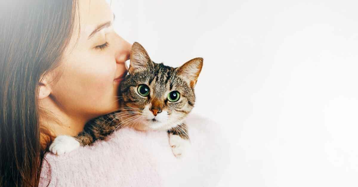猫が嫌がらない抱き方とは 猫が安心する抱き方をご紹介 ミュウズ Cafe