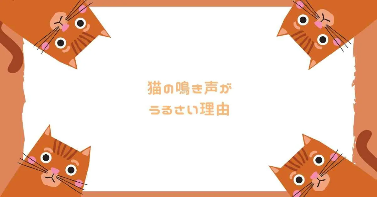猫の鳴き声がうるさい理由は 意味があるのか ミュウズ Cafe