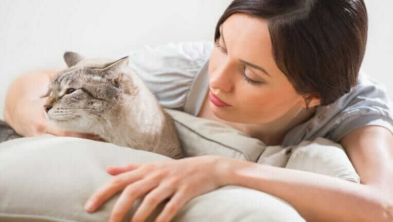 猫 腕枕