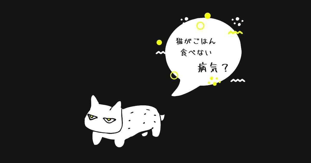 猫 ご飯を食べない (1)
