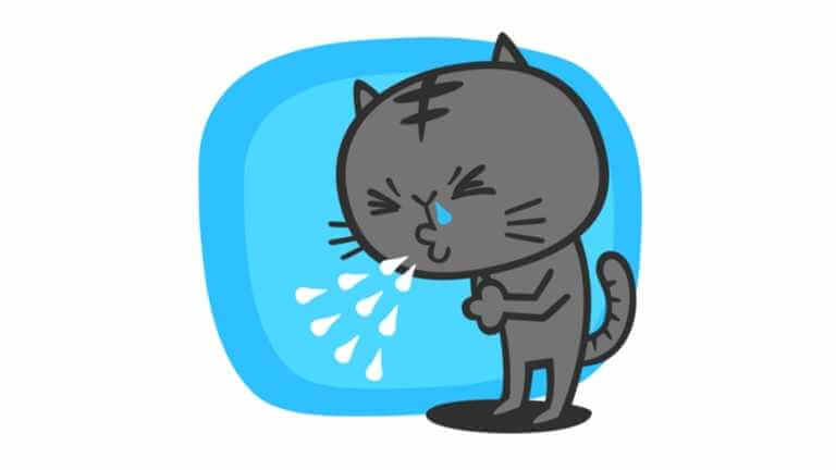 猫のくしゃみ　鼻水
