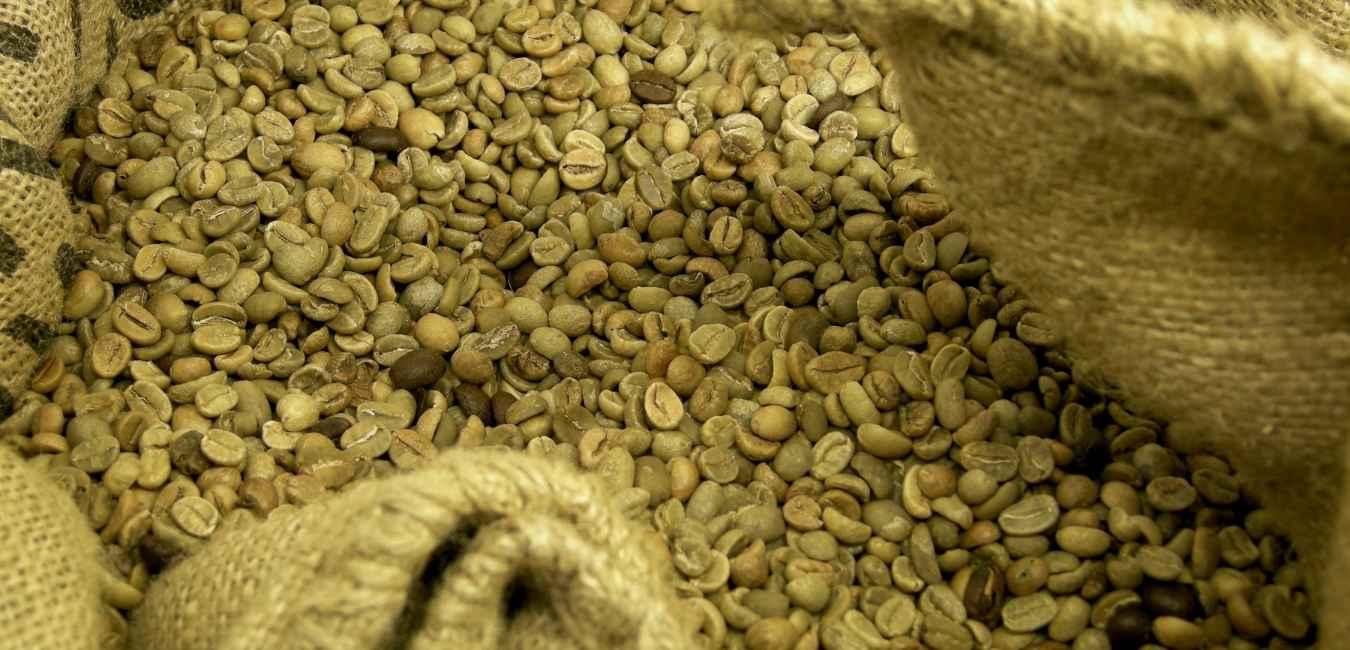 コーヒー 生豆