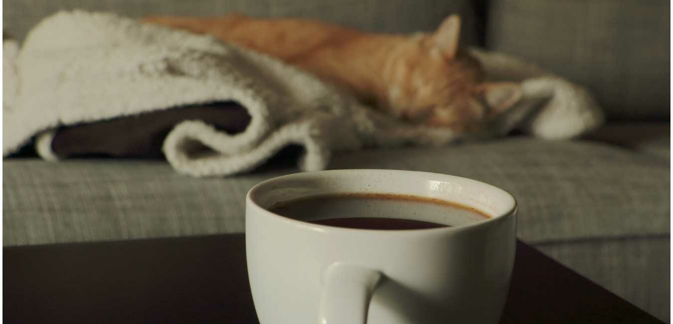 猫 コーヒー (1)